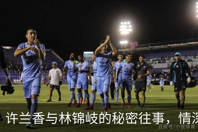 许兰香与林锦岐的秘密往事，情深意重的爱与隐忍